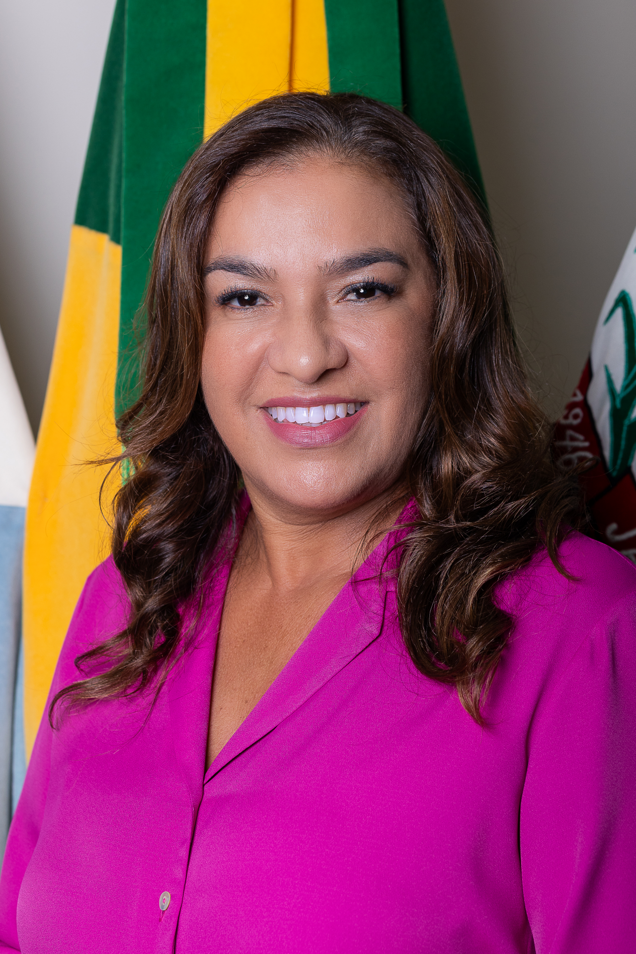 Verª Marilsa Bambil 2° - vice Presidente