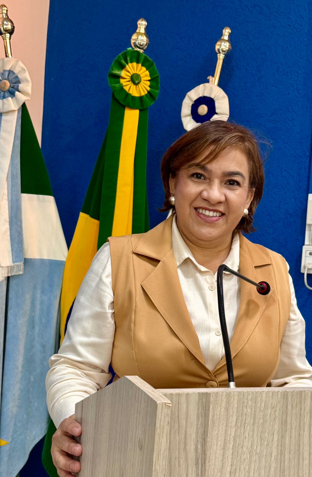 Verª Marilsa Bambil 2° - vice Presidente